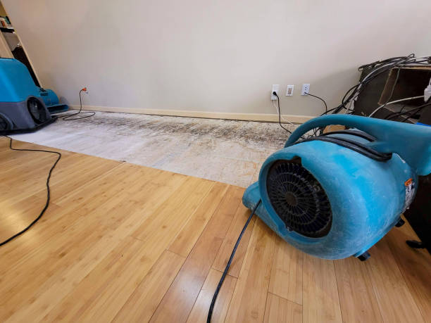 Reliable Basement Flood Cleanup contractor in Buffalo, TX by Hirex Water Damage