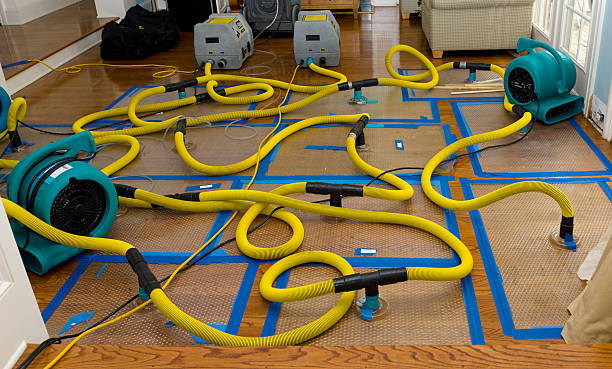 Professional Basement Flood Cleanup technician working in Buffalo, TX